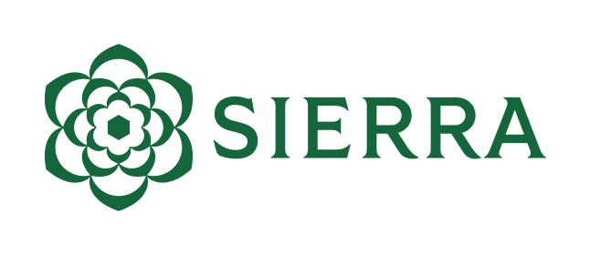 Sierra AI agent platform