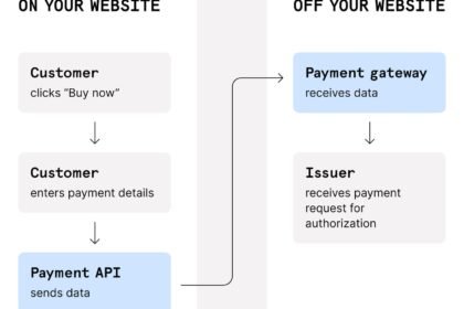 payment API developer technology